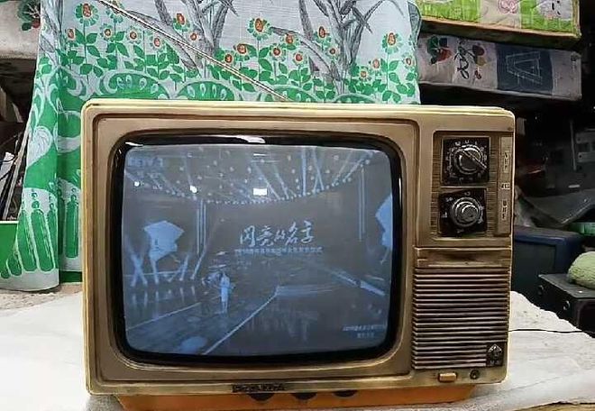 金花如今三家易主只剩下一家成为一线品牌j9九游会真人第一品牌中国冰箱界的四朵(图11)