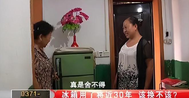 金花如今三家易主只剩下一家成为一线品牌j9九游会真人第一品牌中国冰箱界的四朵(图7)