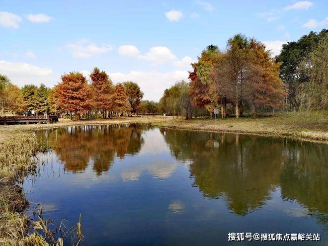 楼处电话在售户型小区配套最新价格周边详情容积率楼盘详情j9国际站登录张江金茂府2025首页网站张江金茂府售(图32)